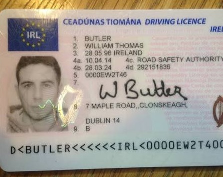Irish Drivers License